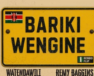 Watendawili, Bariki Wengine, Rembo Flip, REMY BAGGINS, mp3, download, datafilehost, toxicwap, fakaza, Afro House, Afro House 2025, Afro House Mix, Afro House Music, Afro Tech, House Music