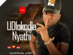 Dlokodla Nyathi, Uzothula Yini?, download ,zip, zippyshare, fakaza, EP, datafilehost, album, Maskandi Songs, Maskandi, Maskandi Mix, Maskandi Music, Maskandi Classics