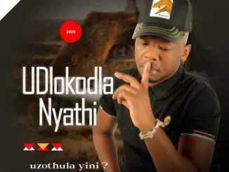 Dlokodla Nyathi, Uzothula Yini?, download ,zip, zippyshare, fakaza, EP, datafilehost, album, Maskandi Songs, Maskandi, Maskandi Mix, Maskandi Music, Maskandi Classics
