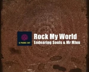Endearing Souls, Rock My World, Original Mix, Mr Mluu, mp3, download, datafilehost, toxicwap, fakaza, Deep House Mix, Deep House, Deep House Music, Deep Tech, Afro Deep Tech, House Music