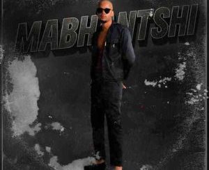 LeeroSoul, Mabhantshi, mp3, download, datafilehost, toxicwap, fakaza, Afro House, Afro House 2025, Afro House Mix, Afro House Music, Afro Tech, House Music