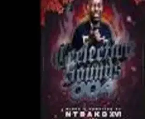 NTSAKO XVI, Ceelective Sounds Vol. 004, Ceemans Birthday Celebration Mix, Steamzy Da Kid, mp3, download, datafilehost, toxicwap, fakaza,House Music, Amapiano, Amapiano 2025, Amapiano Mix, Amapiano Music