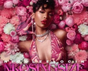 Nicole Elocin, Nkosi'ngsize, K-Zaka, Born Kxng, LeeArt, DJ Raybel, mp3, download, datafilehost, toxicwap, fakaza,House Music, Amapiano, Amapiano 2025, Amapiano Mix, Amapiano Music