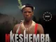 Nkeshemba, Ushaka, mp3, download, datafilehost, toxicwap, fakaza, Maskandi Songs, Maskandi, Maskandi Mix, Maskandi Music, Maskandi Classics