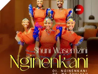 Shuni waseMzini, Nginenkani, download ,zip, zippyshare, fakaza, EP, datafilehost, album, Maskandi Songs, Maskandi, Maskandi Mix, Maskandi Music, Maskandi Classics