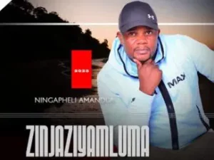 Zinjaziyamluma, Ningapheli Amandla, download ,zip, zippyshare, fakaza, EP, datafilehost, album, Maskandi Songs, Maskandi, Maskandi Mix, Maskandi Music, Maskandi Classics