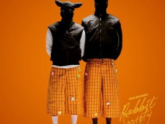 2woBunnies, Busiswa, Uncool MC, Poco Lee,Nevrr49, PXB DJs, mp3, download, datafilehost, toxicwap, fakaza,House Music, Amapiano, Amapiano 2025, Amapiano Mix, Amapiano Music