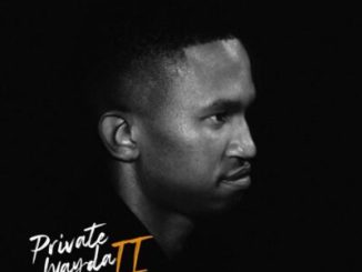 DJ Shima, Private Wayda II, download, zip, zippyshare, fakaza, EP, datafilehost, album, House Music, Amapinao, Amapiano 2025, Amapiano Mix, Amapiano Music