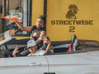 Majorsteez, The Honour, Liema Pantsi, PinkFur, mp3, download, datafilehost, toxicwap, fakaza, Hiphop, Hip hop music, Hip Hop Songs, Hip Hop Mix, Hip Hop, Rap, Rap Music