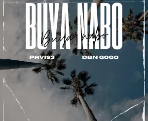 PRVIS3, Buya Nabo, DBN Gogo, Triple X D Ghost, Effected, mp3, download, datafilehost, toxicwap, fakaza,House Music, Amapiano, Amapiano 2025, Amapiano Mix, Amapiano Music