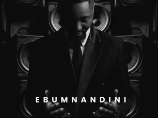 Shaun Stylist, Ebumnandini, download, zip, zippyshare, fakaza, EP, datafilehost, album, House Music, Amapinao, Amapiano 2025, Amapiano Mix, Amapiano Music