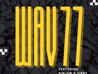 TurnUpKiid, Wav 77, Djy Fresh, Massive95k, Biblow, Zirry, mp3, download, datafilehost, toxicwap, fakaza,House Music, Amapiano, Amapiano 2025, Amapiano Mix, Amapiano Music