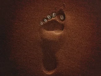 Tycoon, The Tyza Way II, download, zip, zippyshare, fakaza, EP, datafilehost, album, House Music, Amapinao, Amapiano 2025, Amapiano Mix, Amapiano Music