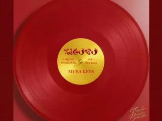 Musa Keys, Xigubu, download, zip, zippyshare, fakaza, EP, datafilehost, album, House Music, Amapinao, Amapiano 2025, Amapiano Mix, Amapiano Music