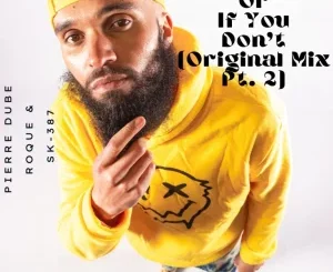 Pierre Dube, Find Me Or If You Don't, Original Mix Pt 2, Roque, sk-387, mp3, download, datafilehost, toxicwap, fakaza, Deep House Mix, Deep House, Deep House Music, Deep Tech, Afro Deep Tech, House Music