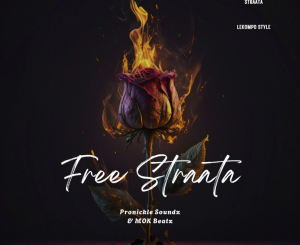 Pronickle Soundz, Free Straata, Mok Beatz, mp3, download, datafilehost, toxicwap, fakaza, Afro House, Afro House 2025, Afro House Mix, Afro House Music, Afro Tech, House Music