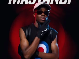 SkavaNator, Mastandi, download,zip, zippyshare, fakaza, EP, datafilehost, album, House Music, Amapiano, Amapiano 2025, Amapiano Mix, Amapiano Music