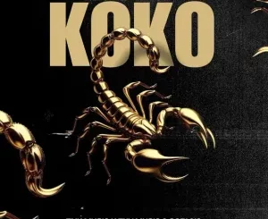 TNK MusiQ, Koko, TXV MusiQ, Cori.012, mp3, download, datafilehost, toxicwap, fakaza,House Music, Amapiano, Amapiano 2025, Amapiano Mix, Amapiano Music