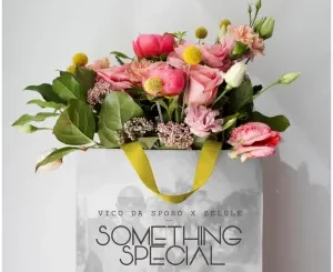 Vico Da Sporo, Something Special, Zelule zn, mp3, download, datafilehost, toxicwap, fakaza,House Music, Amapiano, Amapiano 2025, Amapiano Mix, Amapiano Music
