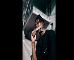 Xduppy, Ubomi Abumanga Remix, Djy Vino, Seun1401, Mbuzi RSA, mp3, download, datafilehost, toxicwap, fakaza,House Music, Amapiano, Amapiano 2025, Amapiano Mix, Amapiano Music