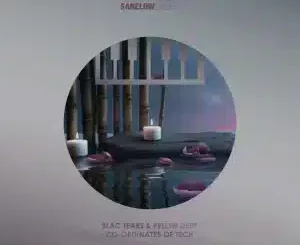 Blac Tears, Co-Ordinates of Tech, Undulative Tek Work, Pelow Deep, mp3, download, datafilehost, toxicwap, fakaza, Deep House Mix, Deep House, Deep House Music, Deep Tech, Afro Deep Tech, House Music