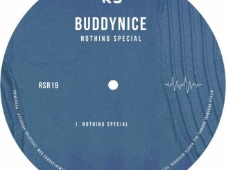 Buddynice, Nothing Special, mp3, download, datafilehost, toxicwap, fakaza,House Music, Amapiano, Amapiano 2026, Amapiano Mix, Amapiano Music