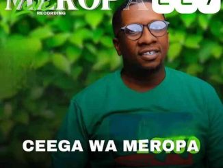 Ceega, Meropa 227, We Love Mzansi House, mp3, download, datafilehost, toxicwap, fakaza,House Music, Amapiano, Amapiano 2026, Amapiano Mix, Amapiano Music