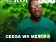 Ceega, Meropa 227, We Love Mzansi House, mp3, download, datafilehost, toxicwap, fakaza,House Music, Amapiano, Amapiano 2026, Amapiano Mix, Amapiano Music