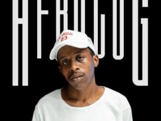 Various Artists, King Of AfroLog, download, zip, zippyshare, fakaza, EP, datafilehost, album, House Music, Amapinao, Amapiano 2026, Amapiano Mix, Amapiano Music