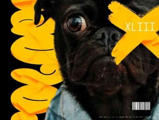 LebtoniQ, POLOPO 43 Mix, mp3, download, datafilehost, toxicwap, fakaza,House Music, Amapiano, Amapiano 2026, Amapiano Mix, Amapiano Music