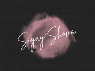 LeeMcKrazy, Siyay’Shova, Springle, Pushkin, Musical Soulz, mp3, download, datafilehost, toxicwap, fakaza,House Music, Amapiano, Amapiano 2026, Amapiano Mix, Amapiano Music