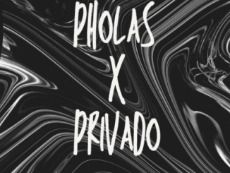 MEazzy.MO, Pholas X Privado, Muziqal Junkie, mp3, download, datafilehost, toxicwap, fakaza, Afro House, Afro House 2026, Afro House Mix, Afro House Music, Afro Tech, House Music