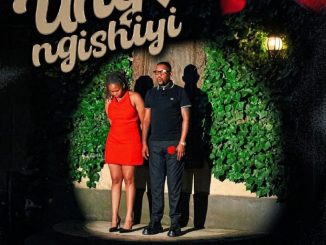 Njelic, Ungangishiyi, ilovelethu, Thabza Tee, mp3, download, datafilehost, toxicwap, fakaza,House Music, Amapiano, Amapiano 2026, Amapiano Mix, Amapiano Music