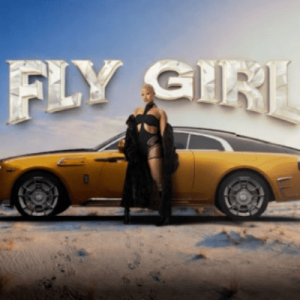 Pepsurah, Fly Girl, download ,zip, zippyshare, fakaza, EP, datafilehost, album, Afro House, Afro House 2026, Afro House Mix, Afro House Music, Afro Tech, House Music