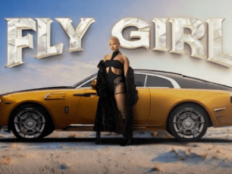 Pepsurah, Fly Girl, download ,zip, zippyshare, fakaza, EP, datafilehost, album, Afro House, Afro House 2026, Afro House Mix, Afro House Music, Afro Tech, House Music