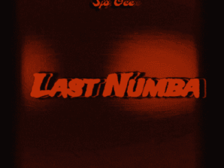 Sjo Gee, Last Numba, mp3, download, datafilehost, toxicwap, fakaza,House Music, Amapiano, Amapiano 2026, Amapiano Mix, Amapiano Music