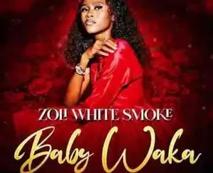 Zoli White Smoke, Baby Waka, SmeezyOn The Beat, ParisMiller, Master Chuza, mp3, download, datafilehost, toxicwap, fakaza,House Music, Amapiano, Amapiano 2026, Amapiano Mix, Amapiano Music