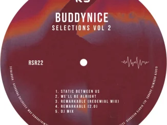 Buddynice, Selections Vol. 2, download ,zip, zippyshare, fakaza, EP, datafilehost, album, Deep House Mix, Deep House, Deep House Music, Deep Tech, Afro Deep Tech, House Music