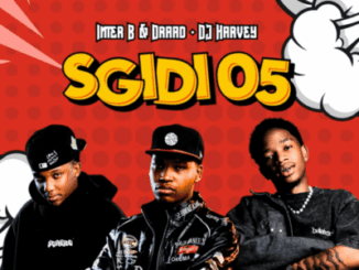 Inter B, Sgidi 05, Draad, DJ Harvey, mp3, download, datafilehost, toxicwap, fakaza,House Music, Amapiano, Amapiano 2026, Amapiano Mix, Amapiano Music
