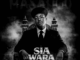 Sia_TheBee, Sia Wara Fela Vol. 2, download, zip, zippyshare, fakaza, EP, datafilehost, album, House Music, Amapinao, Amapiano 2026, Amapiano Mix, Amapiano Music