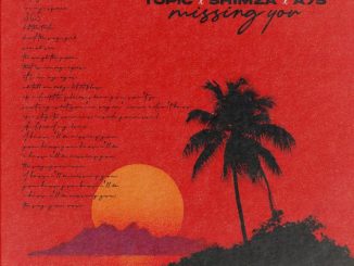 Topic, Missing You, Shimza, A7S, mp3, download, datafilehost, toxicwap, fakaza, Afro House, Afro House 2026, Afro House Mix, Afro House Music, Afro Tech, House Music