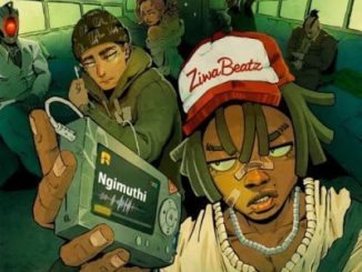 ZiwaBeatz, Ngimuthi, Busta 929, LeeMcKrazy, mp3, download, datafilehost, toxicwap, fakaza,House Music, Amapiano, Amapiano 2026, Amapiano Mix, Amapiano Music