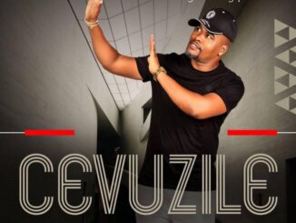 Cevuzile, Ngicel’ungphinde, download ,zip, zippyshare, fakaza, EP, datafilehost, album, Maskandi Songs, Maskandi, Maskandi Mix, Maskandi Music, Maskandi Classics