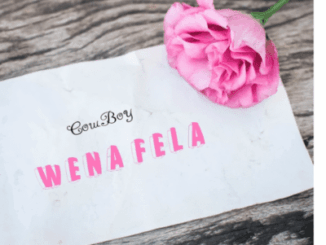 Cow_Boy, Wena Fela, mp3, download, datafilehost, toxicwap, fakaza,House Music, Amapiano, Amapiano 2026, Amapiano Mix, Amapiano Music