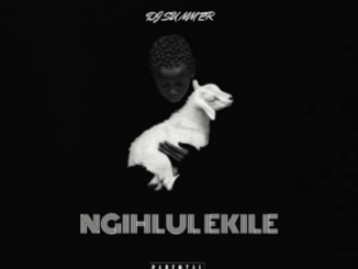 DJ SU MM ER, Ngihlulekile, mp3, download, datafilehost, toxicwap, fakaza,House Music, Amapiano, Amapiano 2026, Amapiano Mix, Amapiano Music