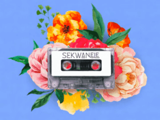 GL CeeJay, Sekwanele, Jazzwrld, Nkosazana Daughter, Da Lee LS, mp3, download, datafilehost, toxicwap, fakaza,House Music, Amapiano, Amapiano 2026, Amapiano Mix, Amapiano Music