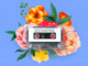 GL CeeJay, Sekwanele, Jazzwrld, Nkosazana Daughter, Da Lee LS, mp3, download, datafilehost, toxicwap, fakaza,House Music, Amapiano, Amapiano 2026, Amapiano Mix, Amapiano Music