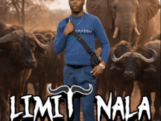 Limit Nala, Ama Buffalo, Snippet, mp3, download, datafilehost, toxicwap, fakaza, Maskandi Songs, Maskandi, Maskandi Mix, Maskandi Music, Maskandi Classics