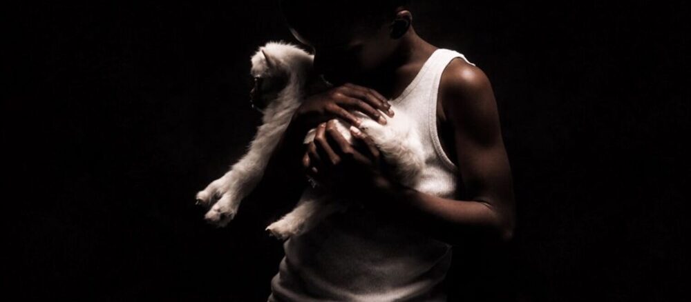 Nandipha808, Who Made Who, download, zip, zippyshare, fakaza, EP, datafilehost, album, House Music, Amapinao, Amapiano 2026, Amapiano Mix, Amapiano Music