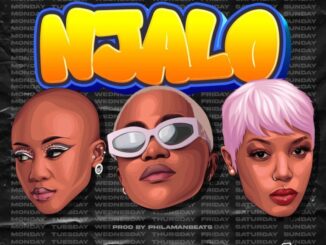 Nelz, Njalo, Moozile, Buzzi Lee,mp3, download, datafilehost, toxicwap, fakaza,House Music, Amapiano, Amapiano 2026, Amapiano Mix, Amapiano Music